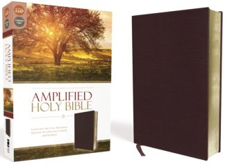 9780310443940 Amplified Bible
