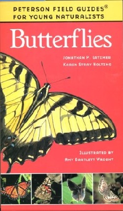 9780395979440 Butterflies