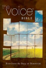 9781418549015 Voice Bible