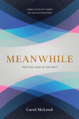 9781563095566 Meanwhile : Meeting God In The Wait - A Bible Study Of Joseph Of The Old Te