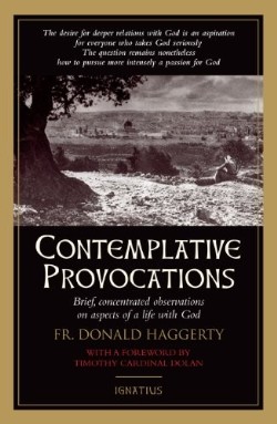 9781586177331 Contemplative Provocations : Brief Concentrated Observations On Aspects Of