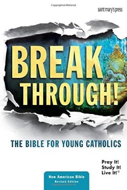 9781599828411 Break Through The Bible For Young Catholics