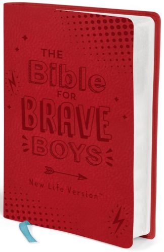 9781643525280 Bible For Brave Boys