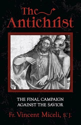 9781644136447 Antichrist : The Final Campaign Against The Savior