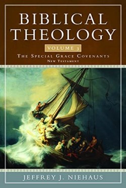 9781683591481 Biblical Theology Volume 3