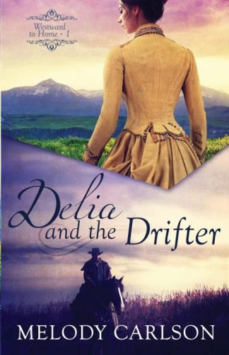 9781941720455 Delia And The Drifter