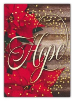 730817360911 Christmas Hope Is Born Anew KJV Box Of 12