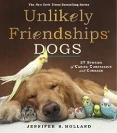 9780761187288 Unlikely Friendships Dogs