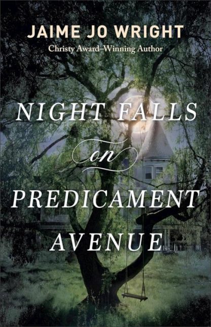 9780764242915 Night Falls On Predicament Avenue