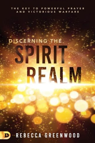9780768454871 Discerning The Spirit Realm