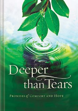 9781404104662 Deeper Than Tears