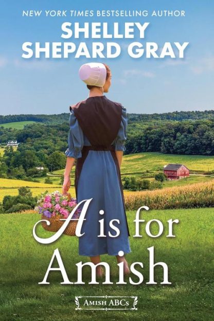 9781496748850 A Is For Amish