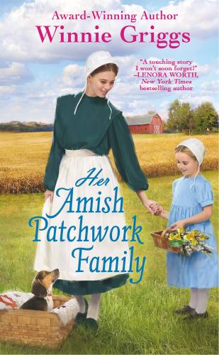 9781538735848 Her Amish Patchwork Family