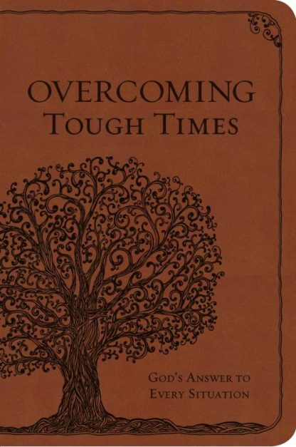 9781617957369 Overcoming Tough Times