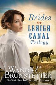 9781643525556 Brides Of Lehigh Canal Trilogy