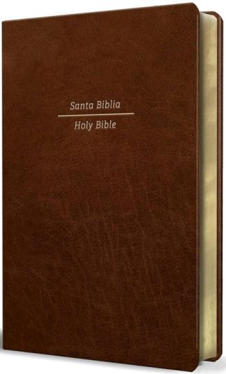 9781644734032 Bilingual RVR60 English Standard Large Print Bible