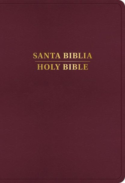 9798384500544 RVR 1960 KJV Bilingual Bible Large Print