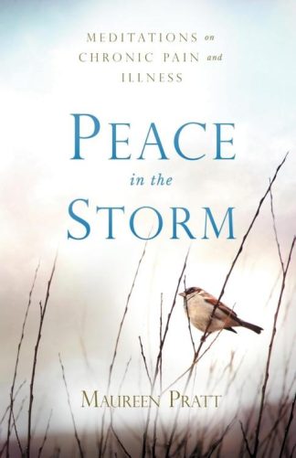 9798988529538 Peace In The Storm Meditations On Chronic Pain And Illness