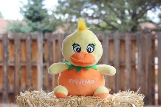 759740954622 Patience The Orange Duck