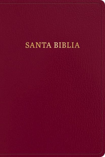 9781430091981 Giant Print Bible