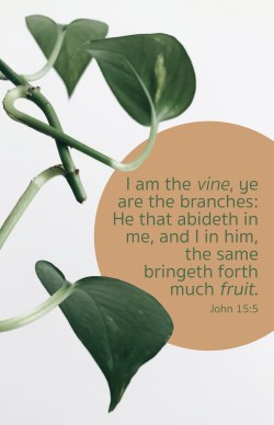 081407478005 Much Fruit I Am The Vine Ye Are The Branches John 15:5 Pack Of 100