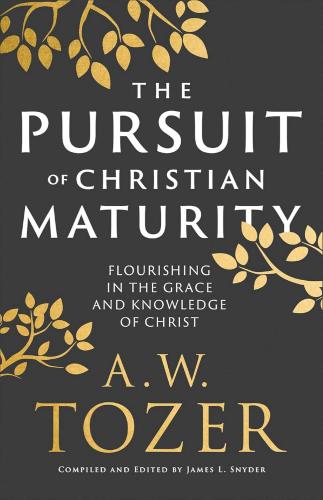 9780764243240 Pursuit Of Christian Maturity