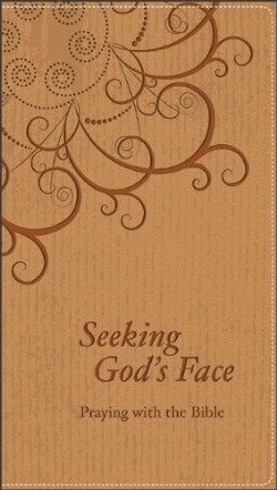 9780801072642 Seeking Gods Face (Reprinted)