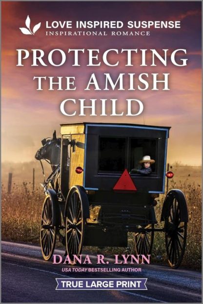 9781335483829 Protecting The Amish Child (Large Type)