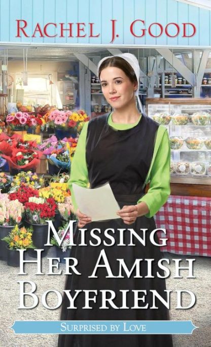 9781420156485 Missing Her Amish Boyfriend