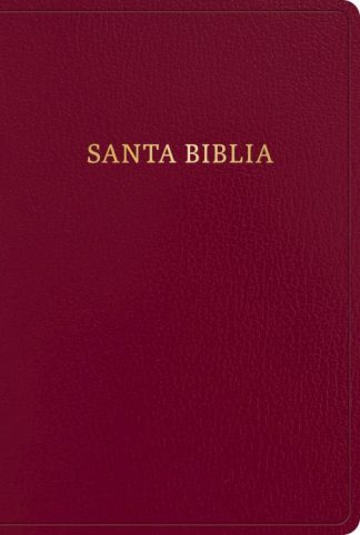 9781430091998 Giant Print Bible