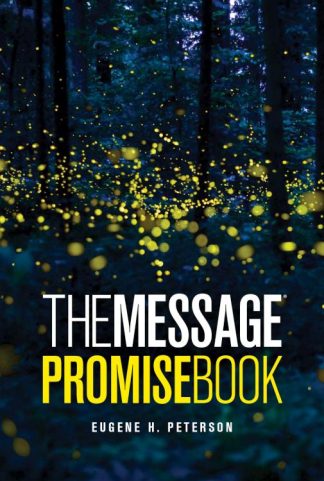 9781615211081 Message Promise Book