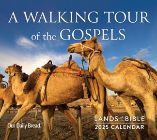 9781640703124 Lands Of The Bible 2025 Wall Calendar