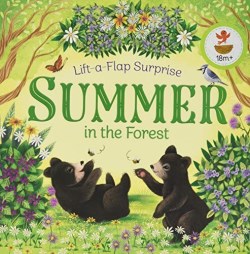 9781680524833 Summer In The Forest Lift A Flap Surprise Book