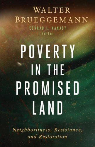 9798889831389 Poverty In The Promised Land