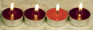 095177571002 Refill Advent Tealight Candles