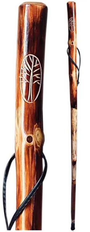 725734816450 Walking Stick Tree With Compass And Pouch