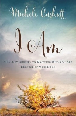 9780310339809 I Am : A 60 Day Journey To Knowing Who You Are Because Of Who He Is