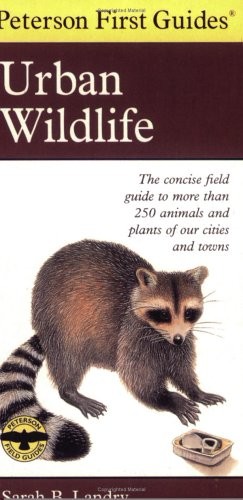 9780395935446 Urban Wildlife : The Concise Field Guide To More Than 250 Animals And Plant