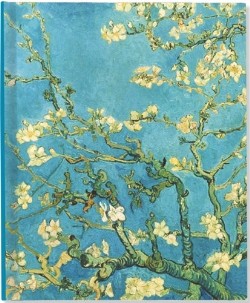 9781441303578 Almond Blossom Oversized Journal