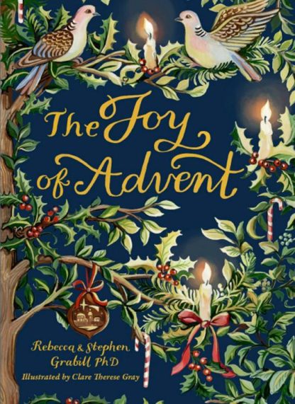 9781640609556 Joy Of Advent