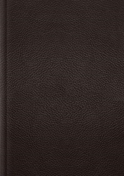 9781433570919 Single Column Journaling Bible Large Print