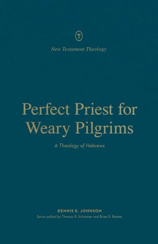 9781433575532 Perfect Priest For Weary Pilgrims