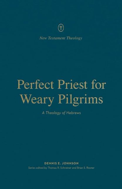 9781433575532 Perfect Priest For Weary Pilgrims