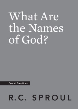 9781642895414 What Are The Names Of God