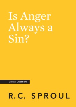 9781642895438 Is Anger Always A Sin