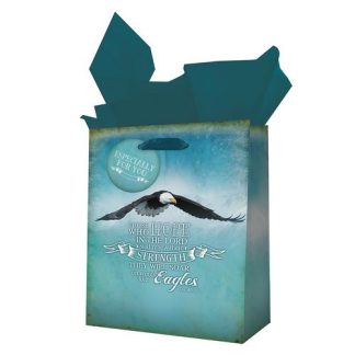 6006937120426 Soar Like Eagles Gift Bag