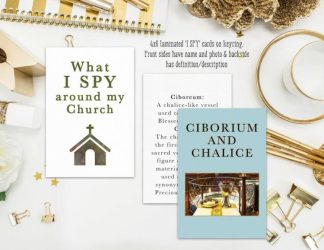 7426842716023 What I Spy Around My Church Card Set