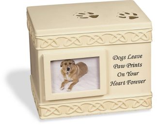 798890495555 Dog Paw Prints Box