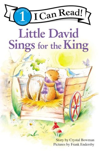 9780310717119 Little David Sings For The King Level 1