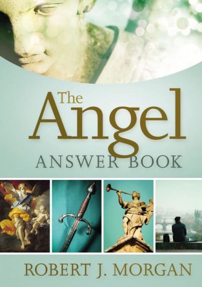 9780718032517 Angel Answer Book